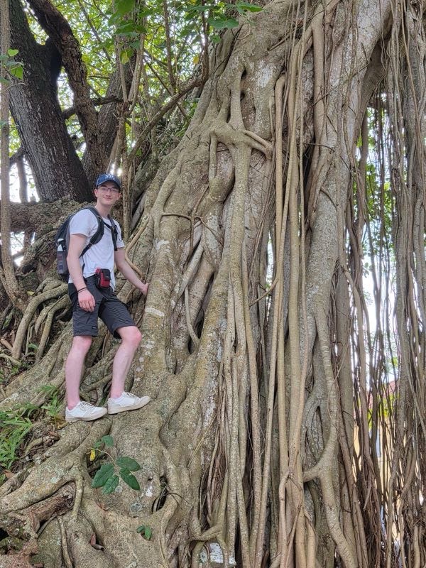 Jour 2: Tortues et pierres de&nbsp;lune